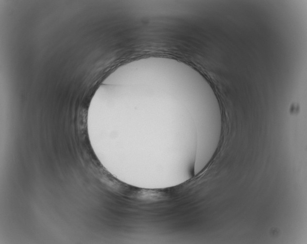 X0000112930528200910051134