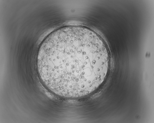 X0000112930529200910051133