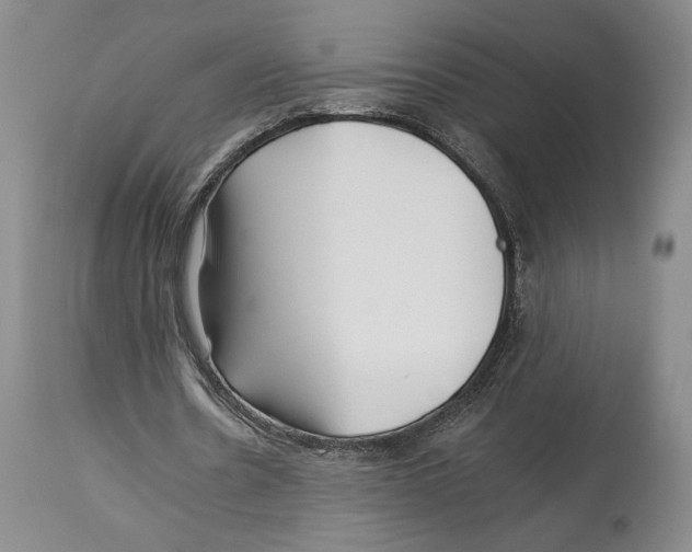 X0000112930530200910051133