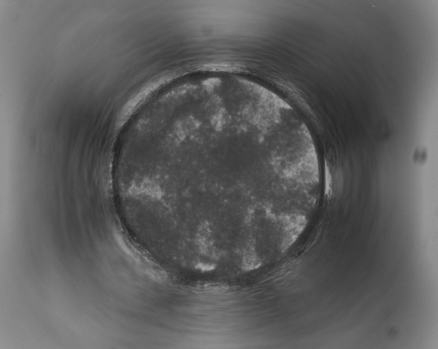 X0000112930531200910051133