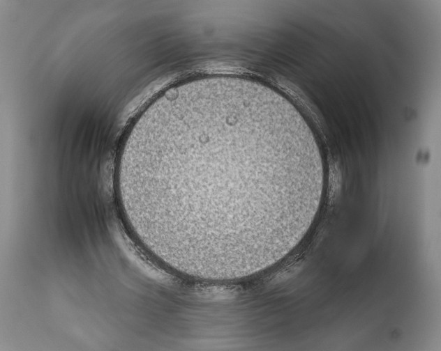 X0000112930533200910051133