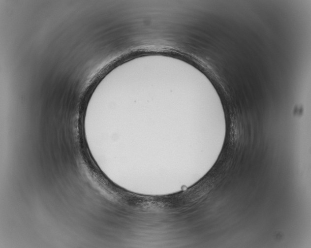 X0000112930535200910051133