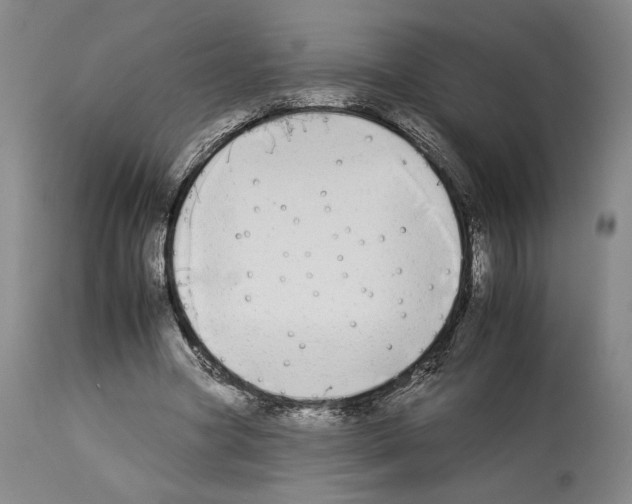 X0000112930537200910051133