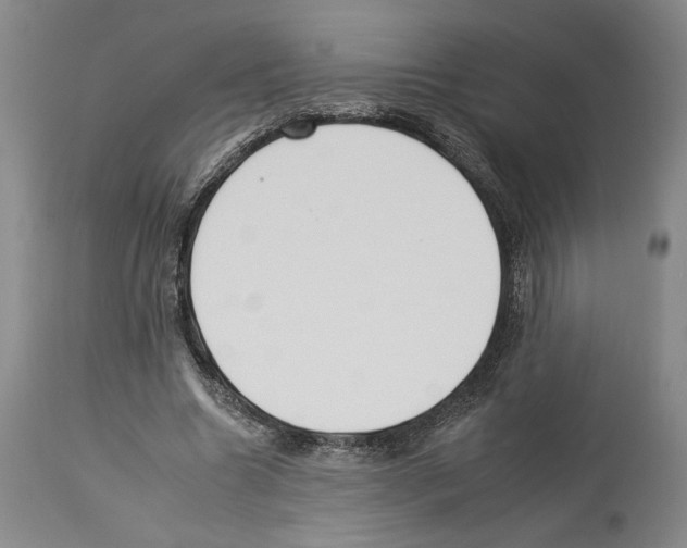 X0000112930538200910051133