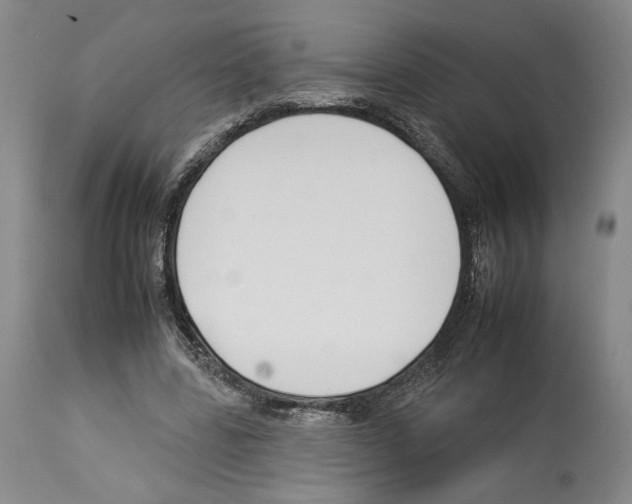 X0000112930539200910051133