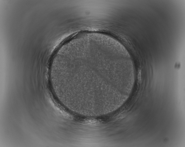 X0000112930540200910051134