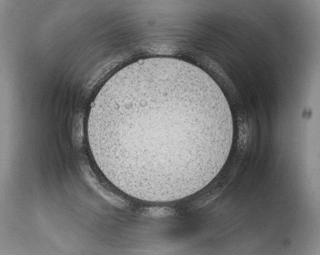 X0000112930541200910051134