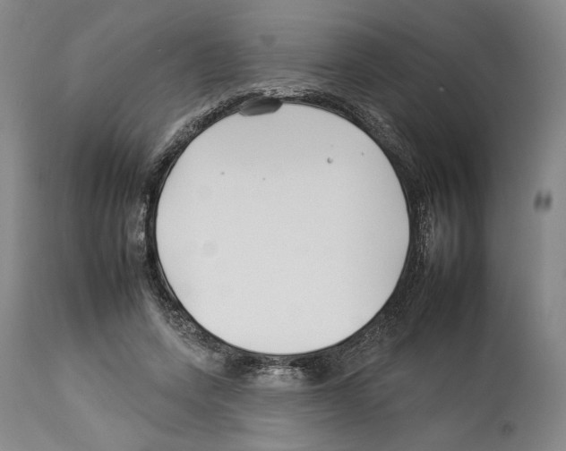 X0000112930543200910051134