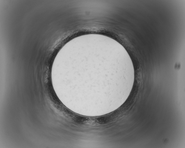 X0000112930544200910051134