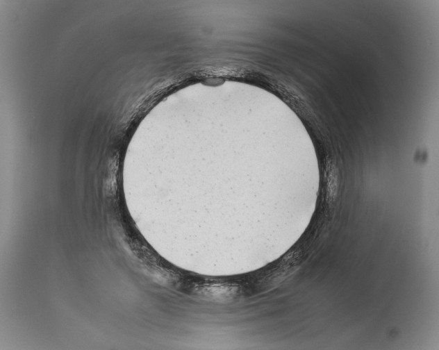 X0000112930546200910051134