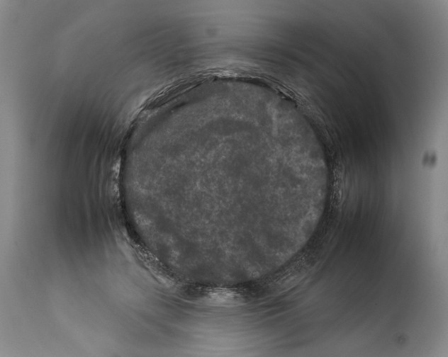 X0000112930547200910051134