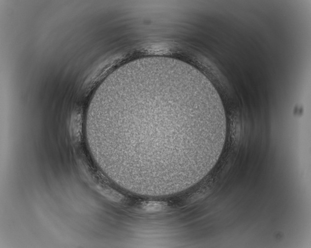 X0000112930549200910051134