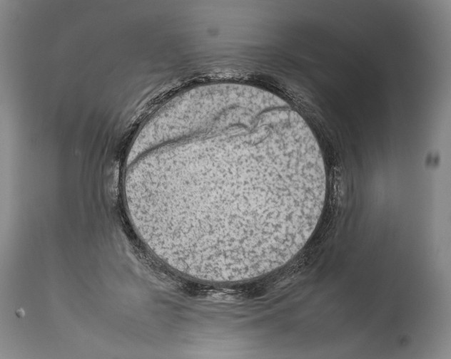 X0000112930550200910051134