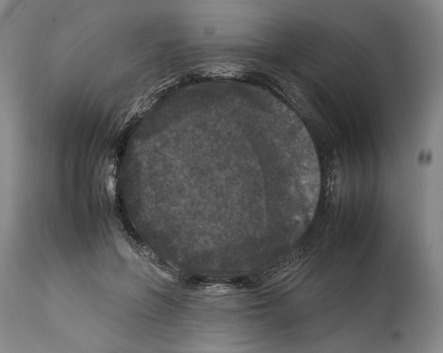 X0000112930551200910051134