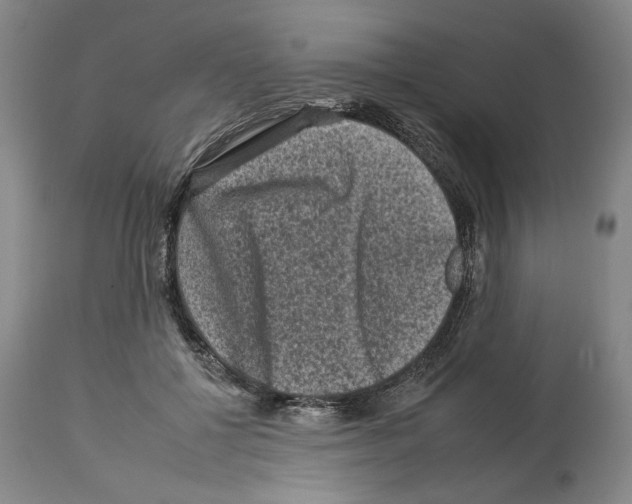 X0000112930552200910051134