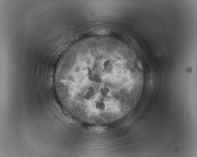 X0000112930553200910051134