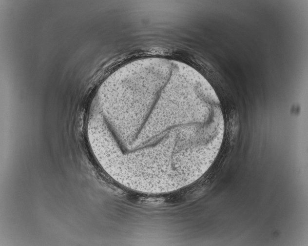 X0000112930554200910051134