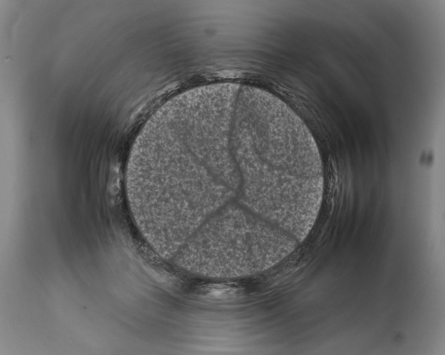 X0000112930555200910051134