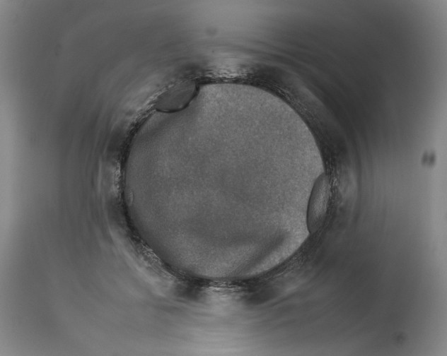X0000112930556200910051134