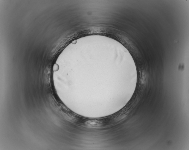 X0000112930557200910051134