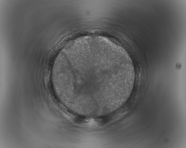 X0000112930558200910051134
