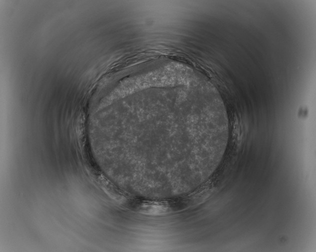 X0000112930559200910051134