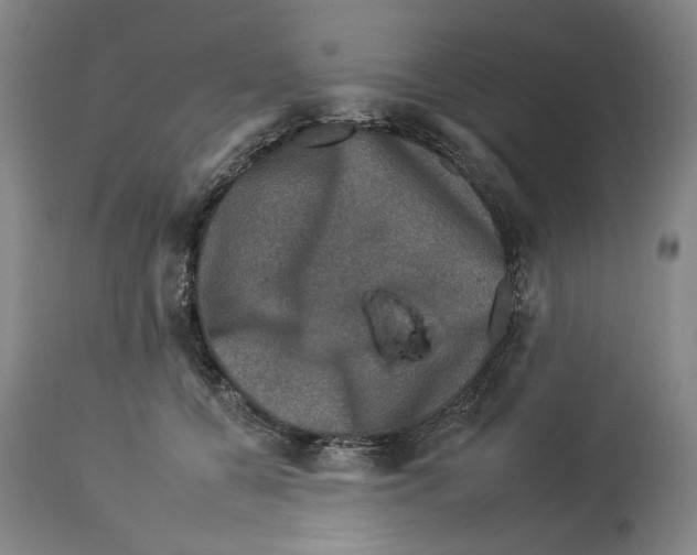 X0000112930560200910051134
