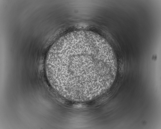 X0000112930561200910051134