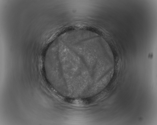 X0000112930562200910051134