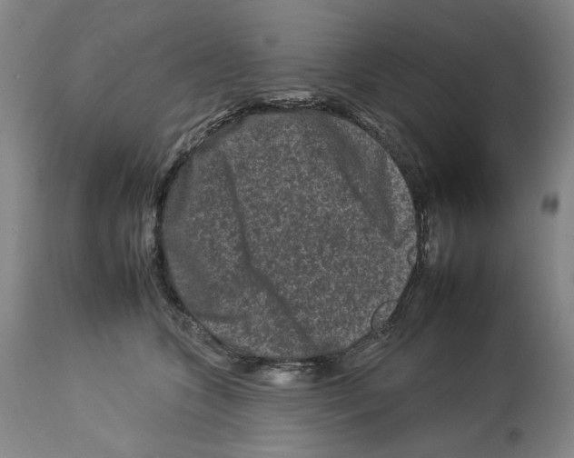 X0000112930563200910051134