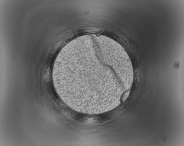 X0000112930564200910051134