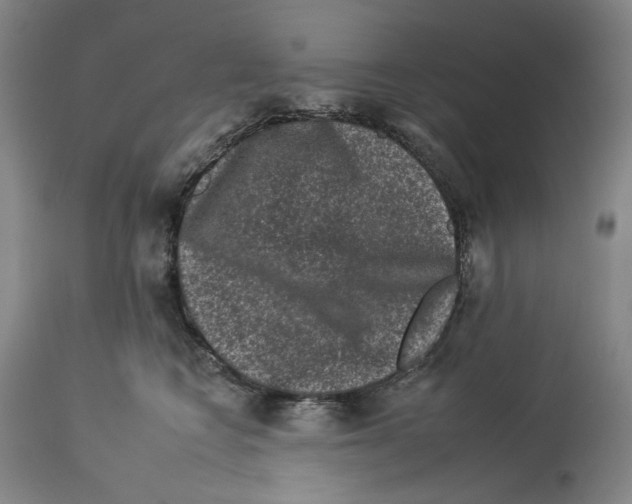X0000112930566200910051134