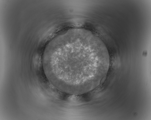 X0000112930568200910051134