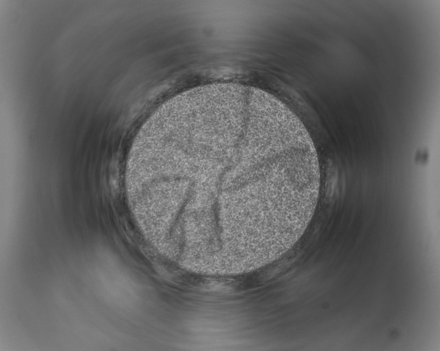 X0000112930569200910051134