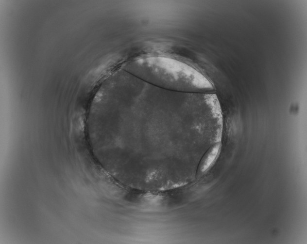 X0000112930570200910051134