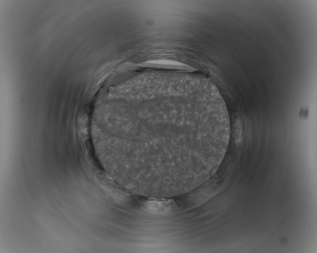 X0000112930571200910051134