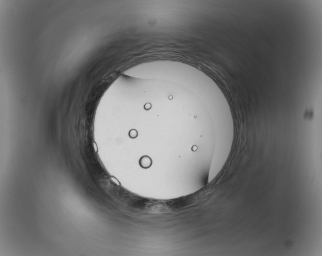 X0000112930572200910051134