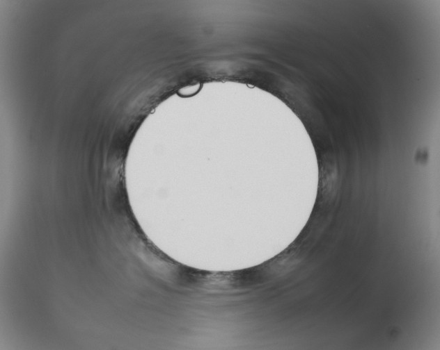 X0000112930574200910051134