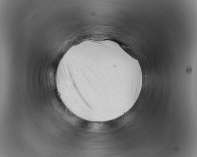 X0000112930575200910051134
