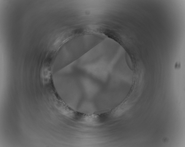 X0000112930576200910051134