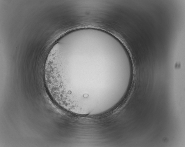 X0000112930577200910051133