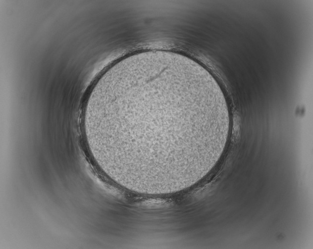 X0000112930578200910051133