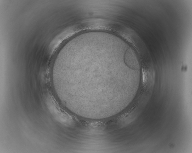 X0000112930579200910051133