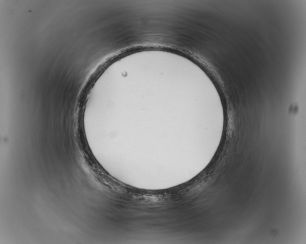 X0000112930580200910051133
