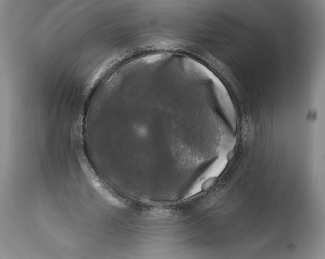 X0000112930581200910051133