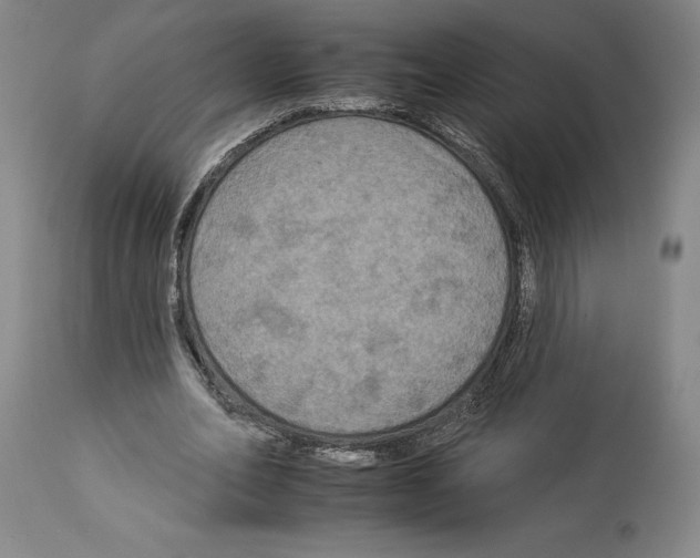 X0000112930582200910051133
