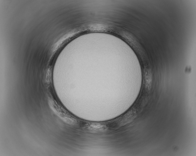 X0000112930583200910051133