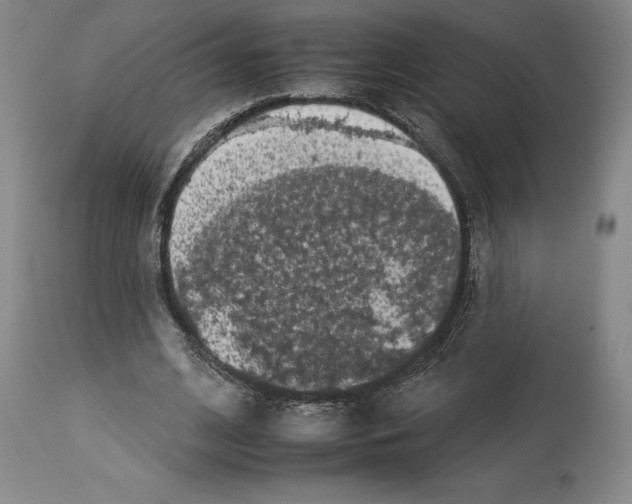 X0000112930584200910051133