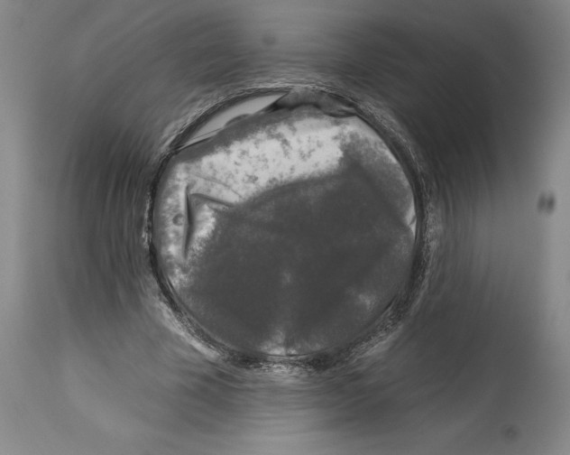 X0000112930585200910051133