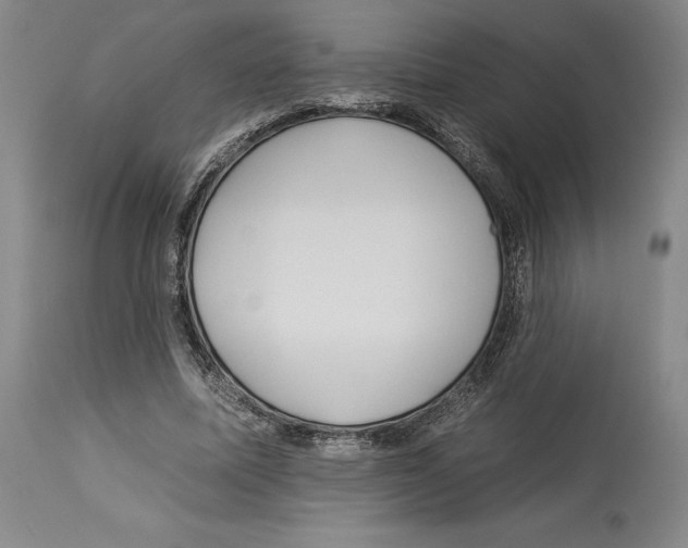 X0000112930587200910051133